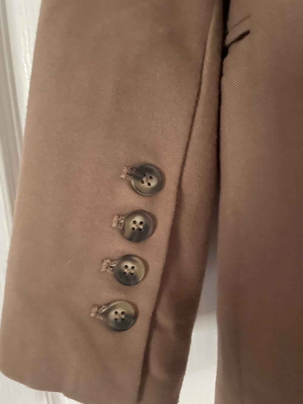 Sovere Free People Double-Breasted Taupe Blazer - Picture 5 of 6